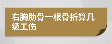 右胸肋骨一根骨折算几级工伤