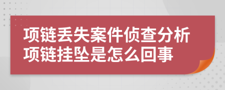 项链丢失案件侦查分析项链挂坠是怎么回事