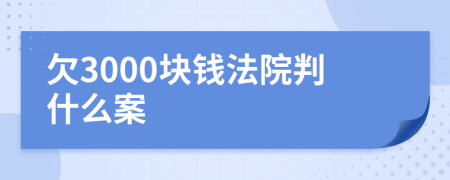 欠3000块钱法院判什么案