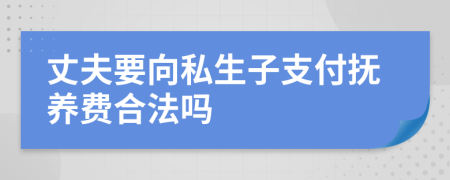 丈夫要向私生子支付抚养费合法吗