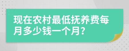 现在农村最低抚养费每月多少钱一个月？