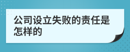 公司设立失败的责任是怎样的