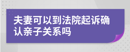 夫妻可以到法院起诉确认亲子关系吗