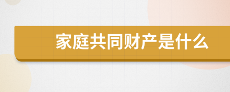 家庭共同财产是什么