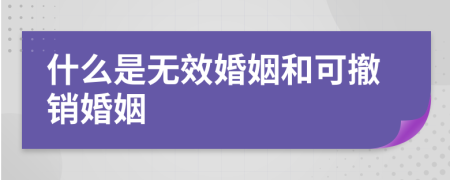 什么是无效婚姻和可撤销婚姻