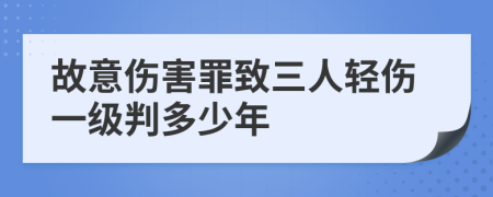 故意伤害罪致三人轻伤一级判多少年