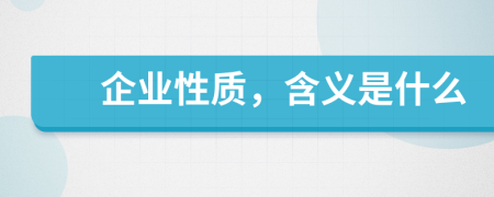 企业性质，含义是什么