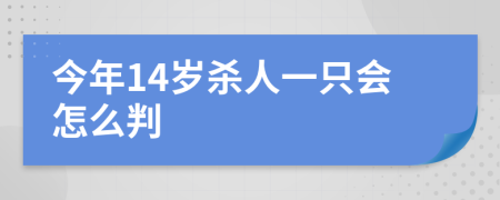 今年14岁杀人一只会怎么判