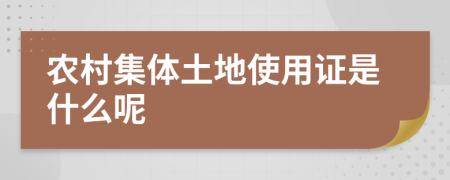 农村集体土地使用证是什么呢
