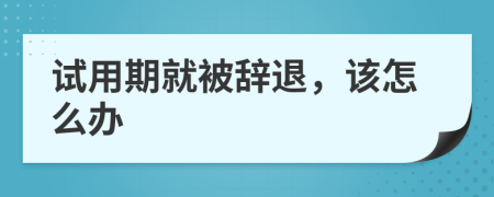 试用期就被辞退，该怎么办