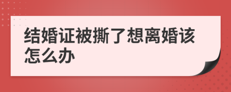 结婚证被撕了想离婚该怎么办