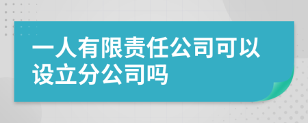 一人有限责任公司可以设立分公司吗