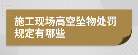 施工现场高空坠物处罚规定有哪些