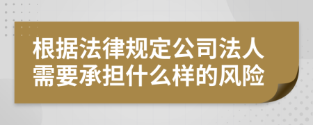 根据法律规定公司法人需要承担什么样的风险