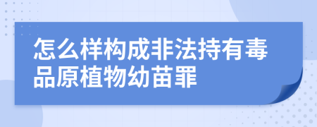 怎么样构成非法持有毒品原植物幼苗罪