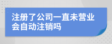 注册了公司一直未营业会自动注销吗