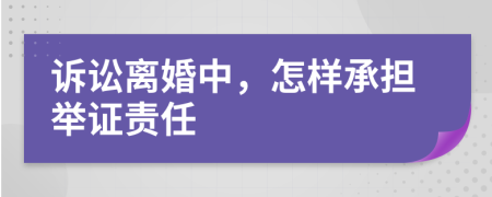 诉讼离婚中，怎样承担举证责任