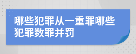 哪些犯罪从一重罪哪些犯罪数罪并罚