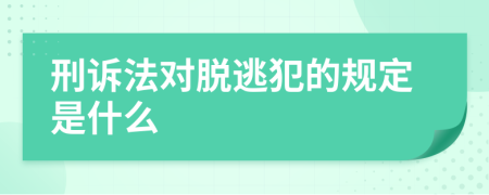 刑诉法对脱逃犯的规定是什么