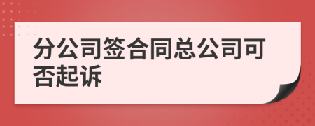 分公司签合同总公司可否起诉