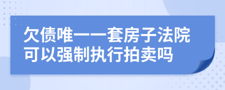 欠债唯一一套房子法院可以强制执行拍卖吗