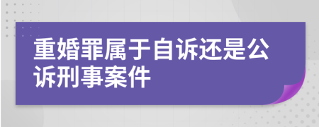 重婚罪属于自诉还是公诉刑事案件