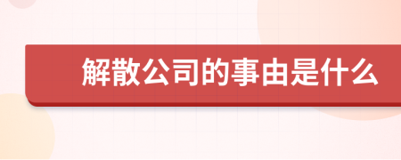 解散公司的事由是什么