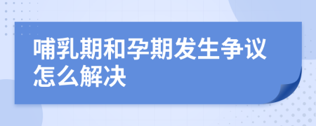 哺乳期和孕期发生争议怎么解决