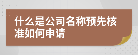 什么是公司名称预先核准如何申请