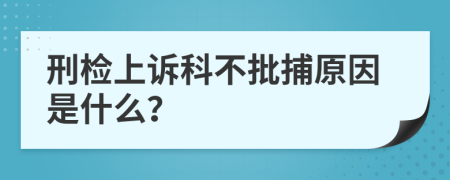 刑检上诉科不批捕原因是什么？