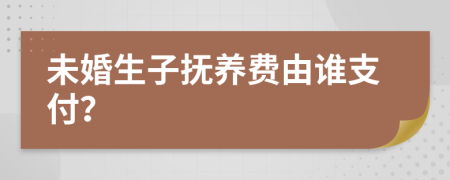 未婚生子抚养费由谁支付？