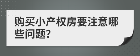 购买小产权房要注意哪些问题？