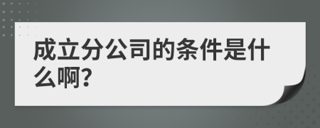 成立分公司的条件是什么啊？