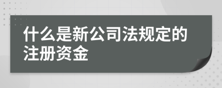 什么是新公司法规定的注册资金