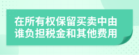 在所有权保留买卖中由谁负担税金和其他费用