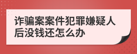 诈骗案案件犯罪嫌疑人后没钱还怎么办