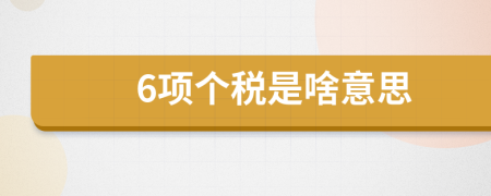 6项个税是啥意思