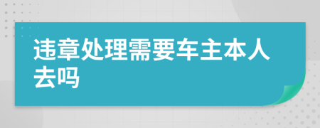 违章处理需要车主本人去吗