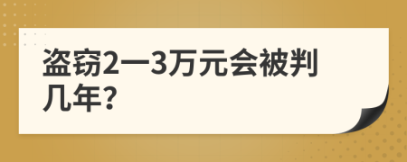 盗窃2一3万元会被判几年？