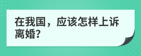 在我国，应该怎样上诉离婚？