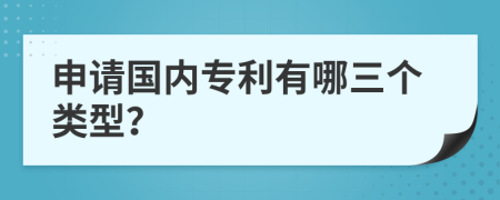 申请国内专利有哪三个类型？