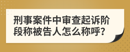 刑事案件中审查起诉阶段称被告人怎么称呼？