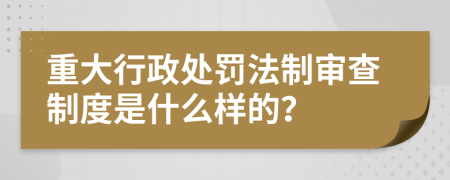 重大行政处罚法制审查制度是什么样的？