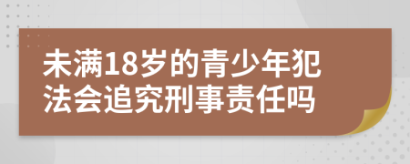 未满18岁的青少年犯法会追究刑事责任吗