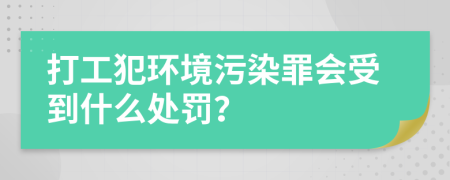 打工犯环境污染罪会受到什么处罚？