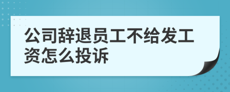 公司辞退员工不给发工资怎么投诉