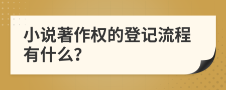 小说著作权的登记流程有什么？