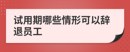 试用期哪些情形可以辞退员工