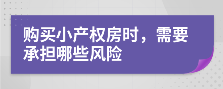 购买小产权房时，需要承担哪些风险
