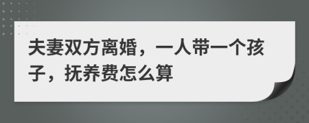 夫妻双方离婚，一人带一个孩子，抚养费怎么算